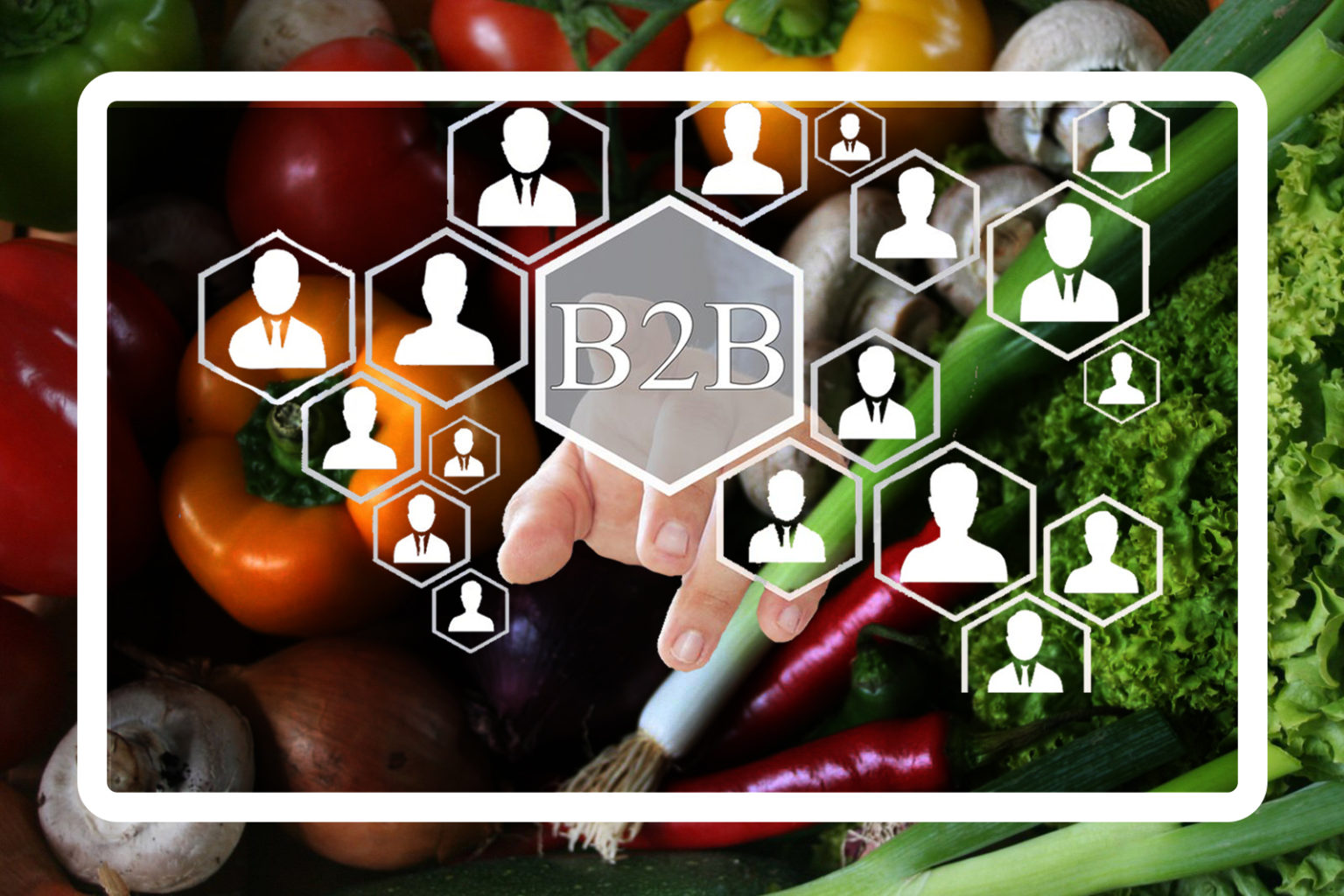 Advantages Of B2B To The Agriculture Industry - Insights - DigiCommerce