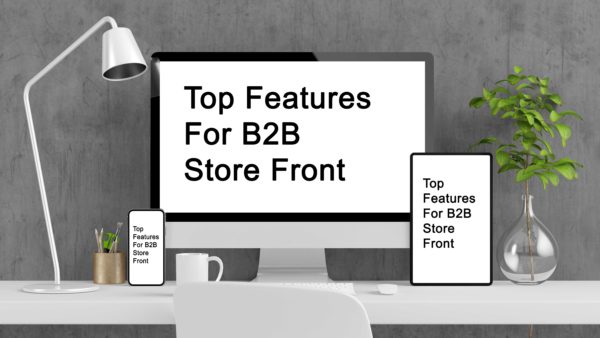 B2B Store Front Experience